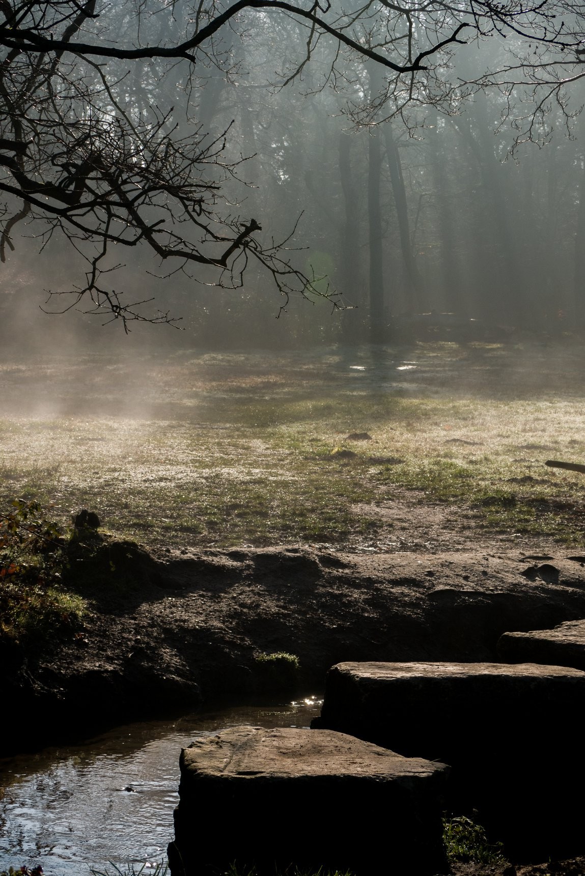 31-Day Photography Course: Stunning Before & After Student Transformations