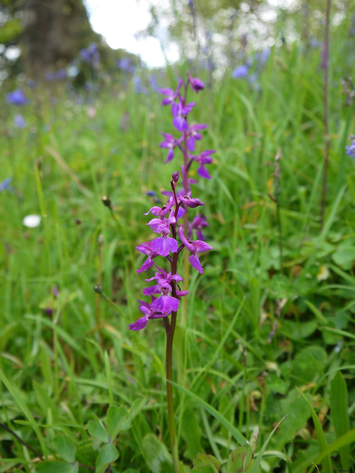 31-Day Photography Course: Stunning Before & After Student Transformations