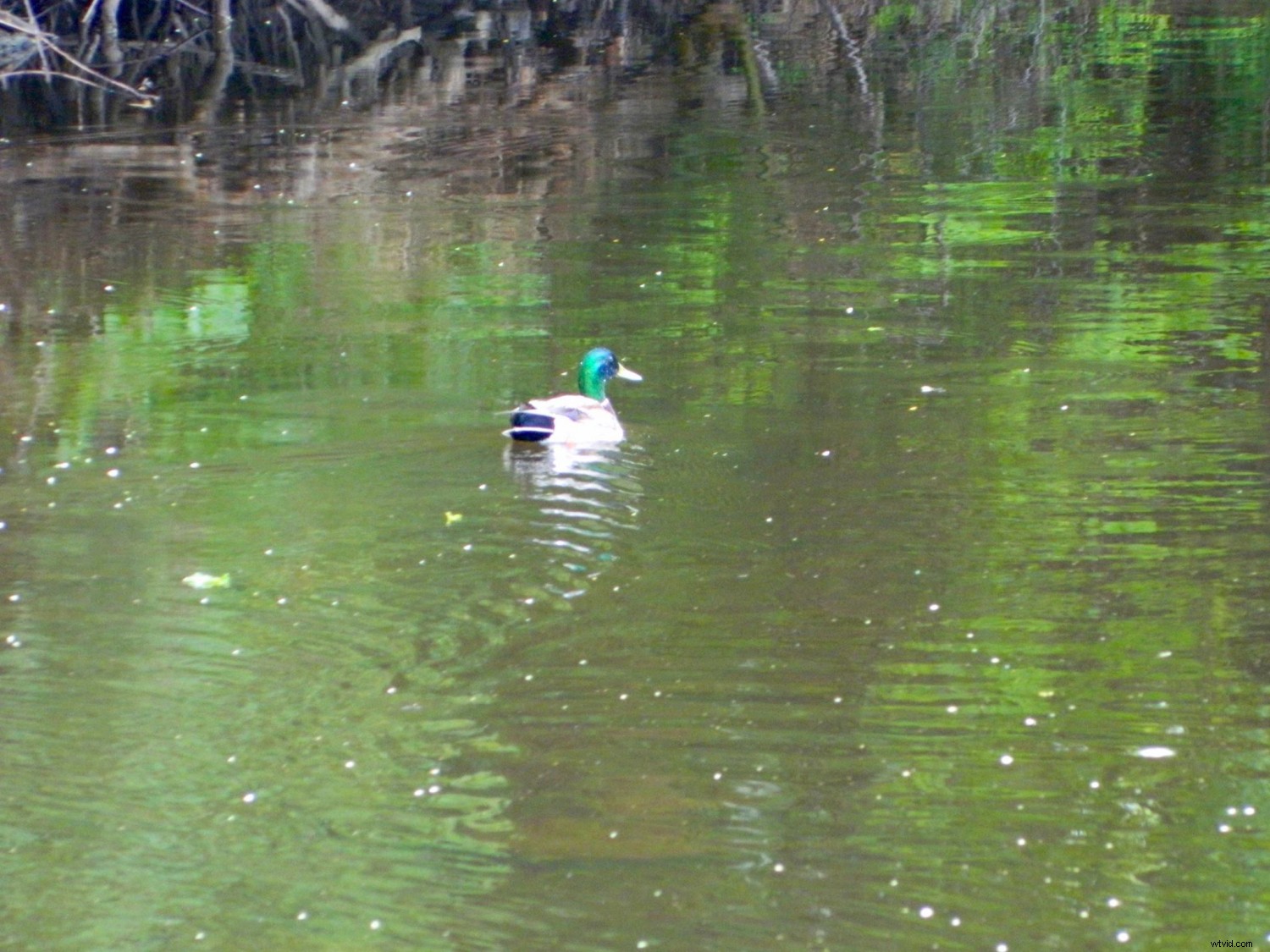 31-Day Photography Course: Stunning Before & After Student Transformations