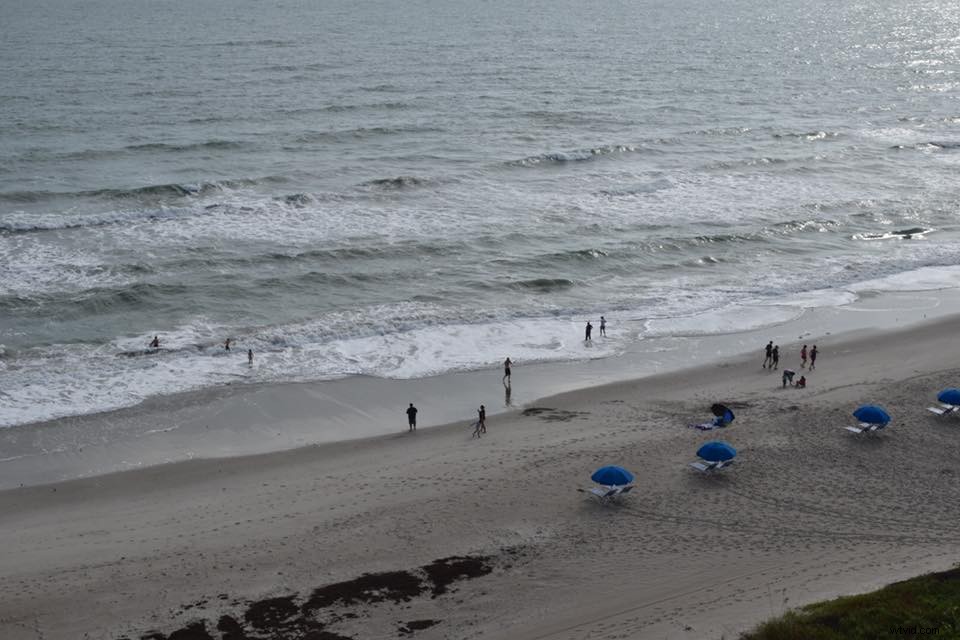 31-Day Photography Course: Stunning Before & After Student Transformations