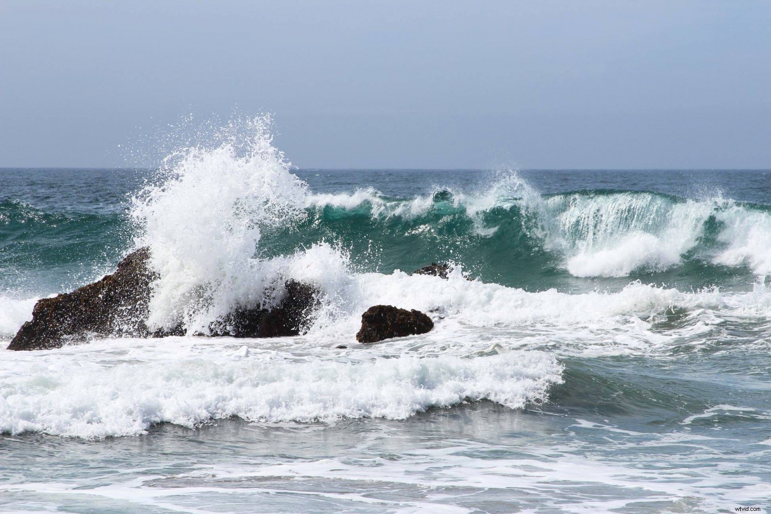 31-Day Photography Course: Stunning Before & After Student Transformations