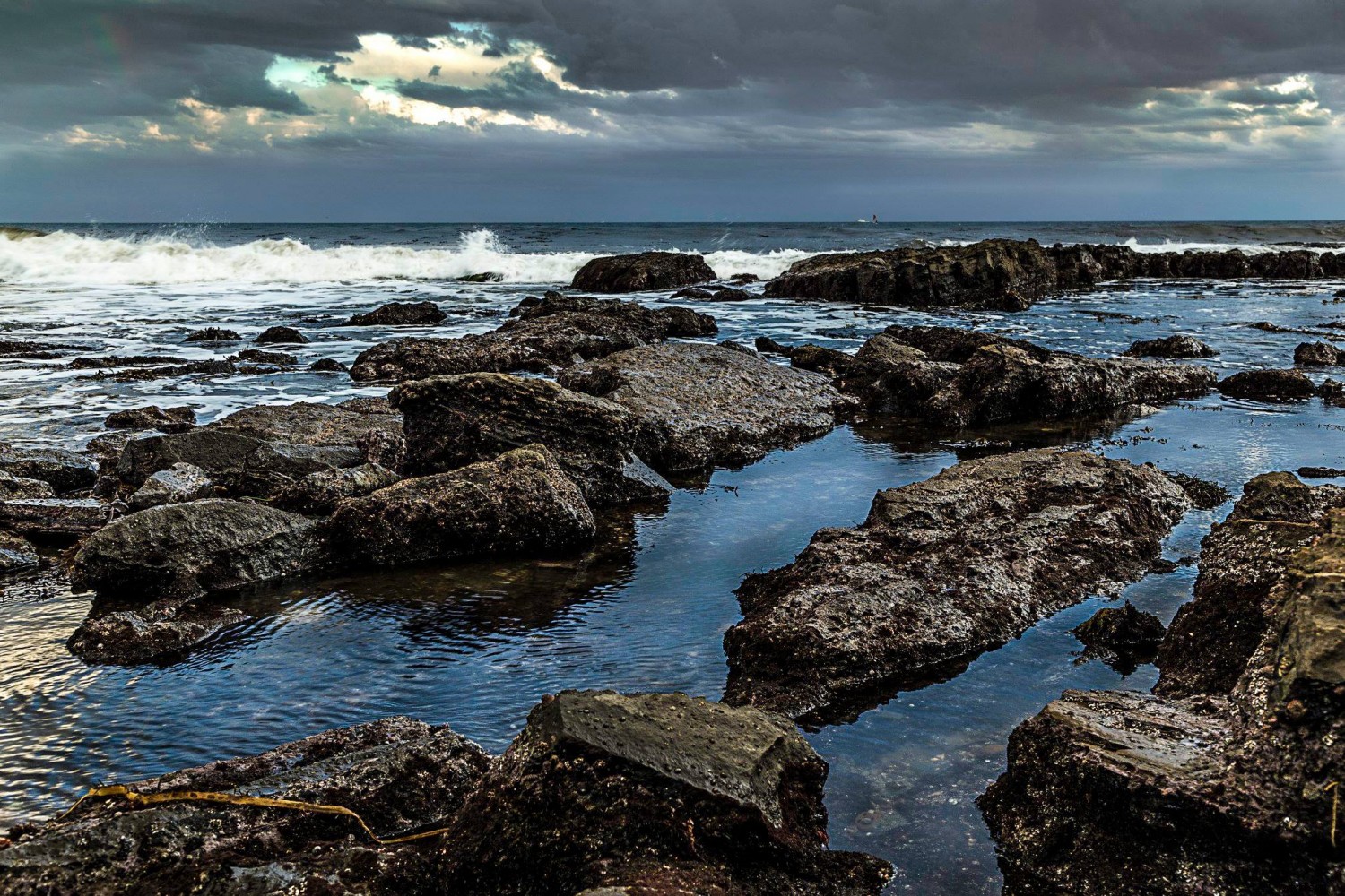 31-Day Photography Course: Stunning Before & After Student Transformations