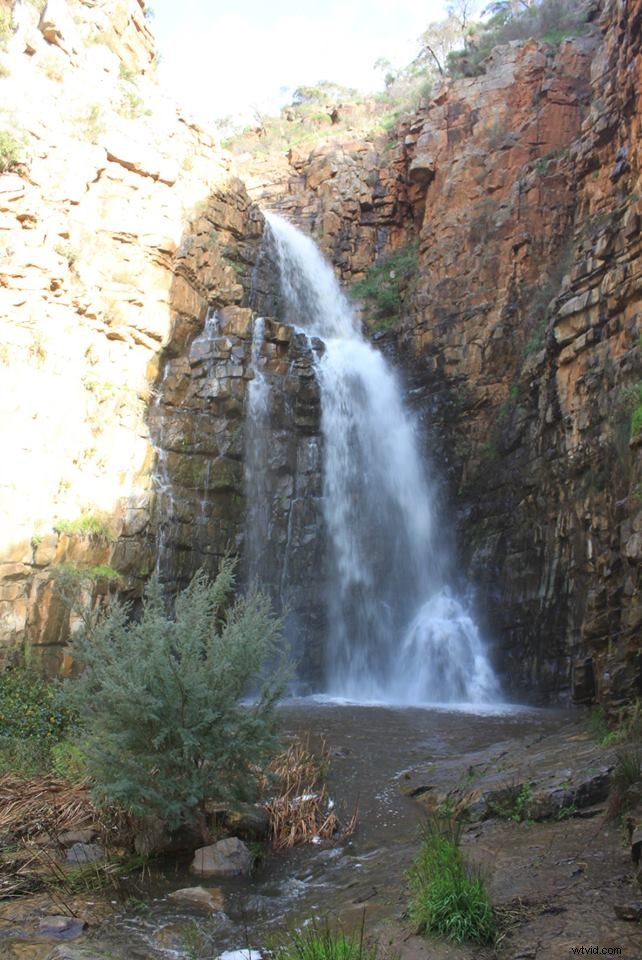 31-Day Photography Course: Stunning Before & After Student Transformations