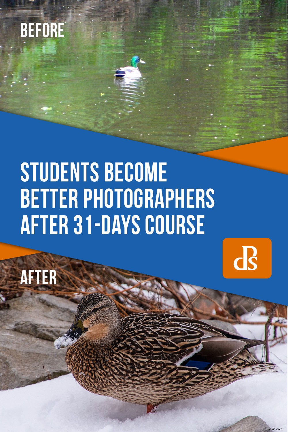 31-Day Photography Course: Stunning Before & After Student Transformations