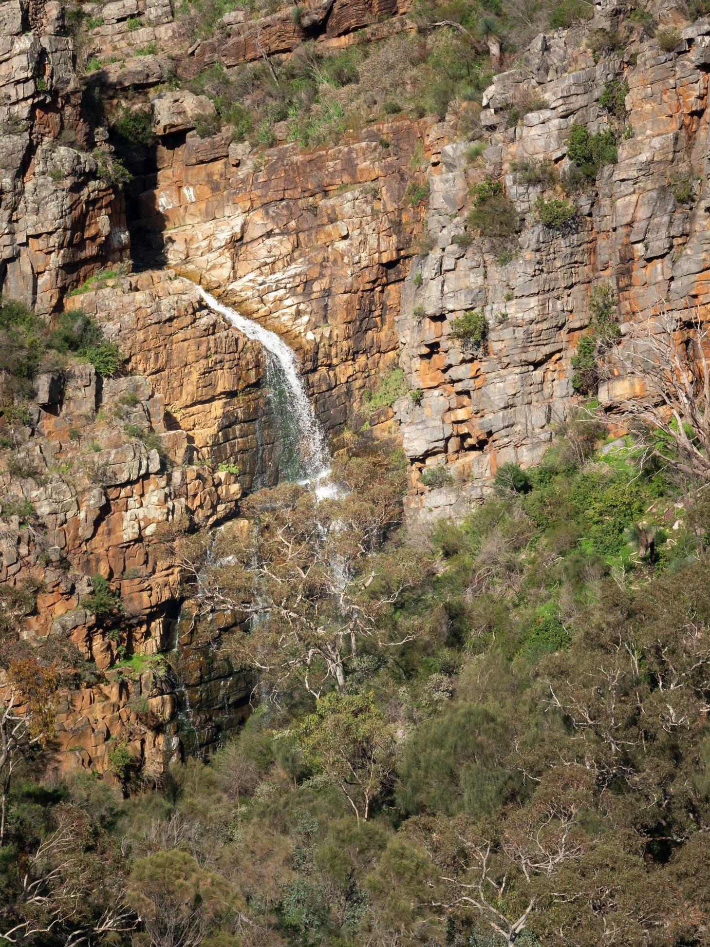 31-Day Photography Course: Stunning Before & After Student Transformations