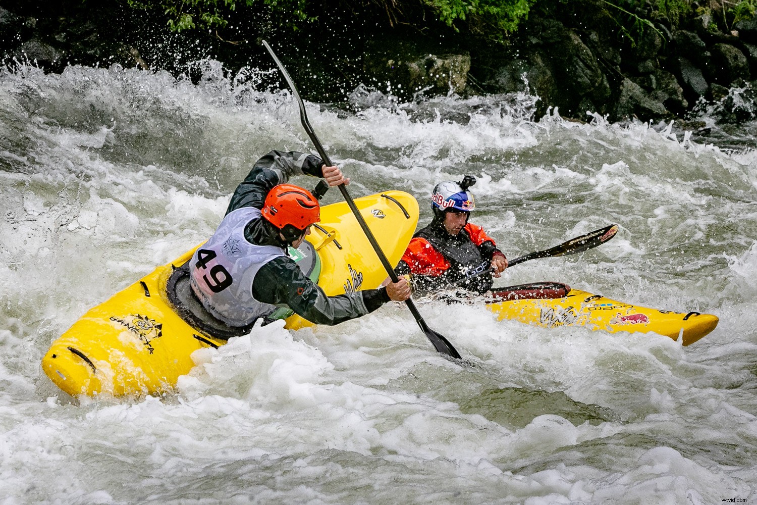 Master Auto ISO & Camera Modes: The Ultimate Beginner s Guide