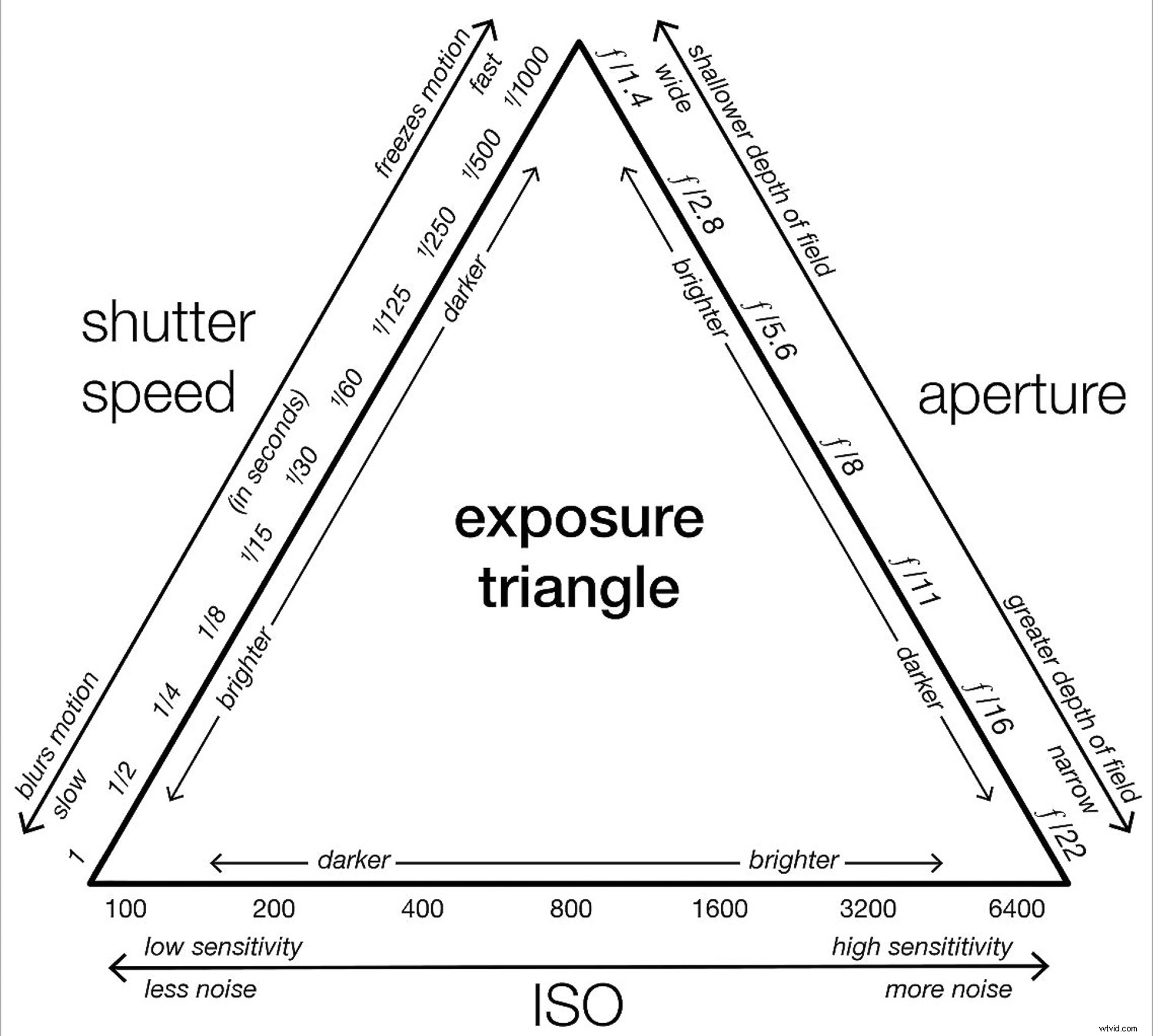 Master Auto ISO & Camera Modes: The Ultimate Beginner s Guide