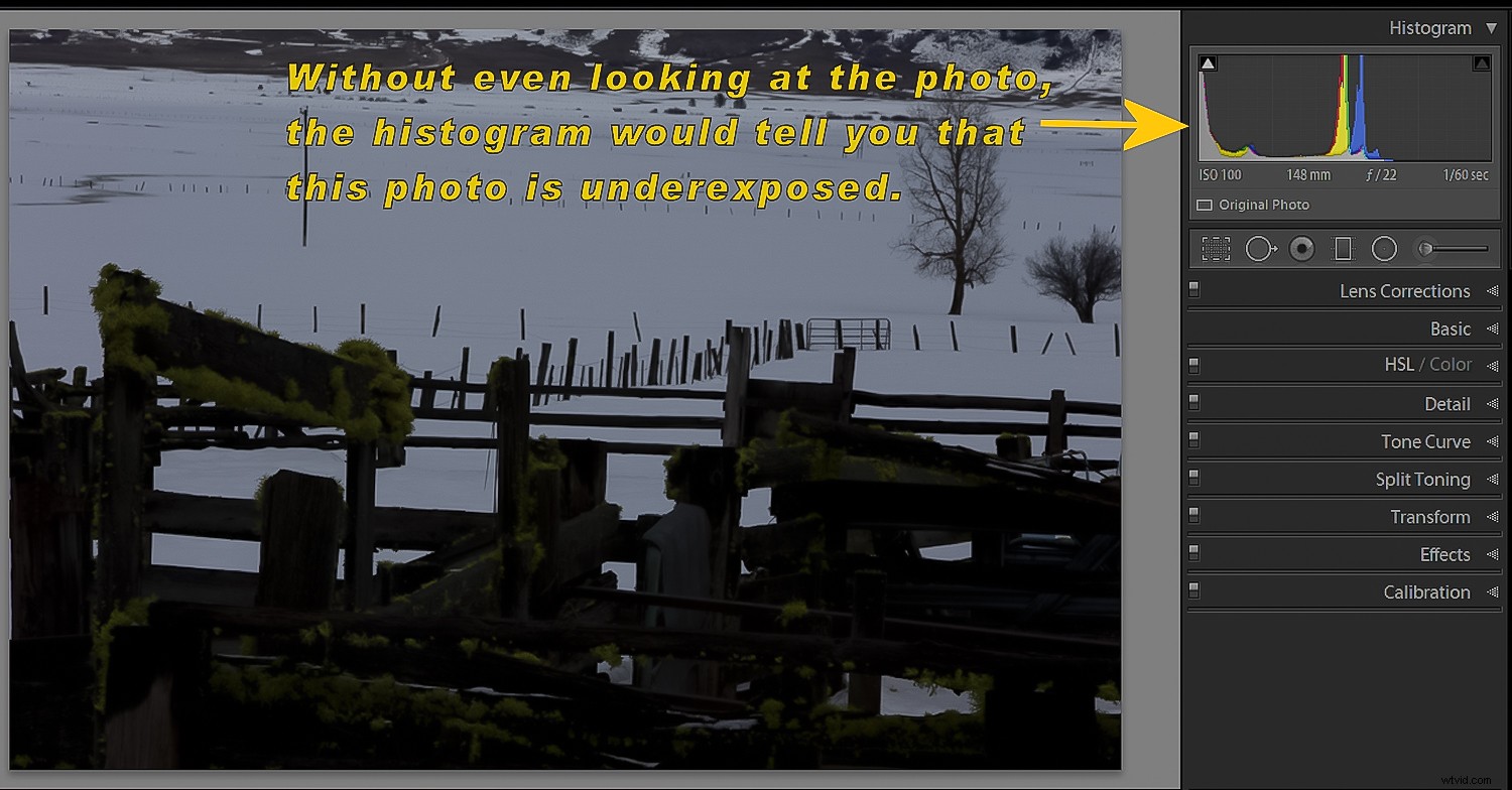 Master Auto ISO & Camera Modes: The Ultimate Beginner s Guide