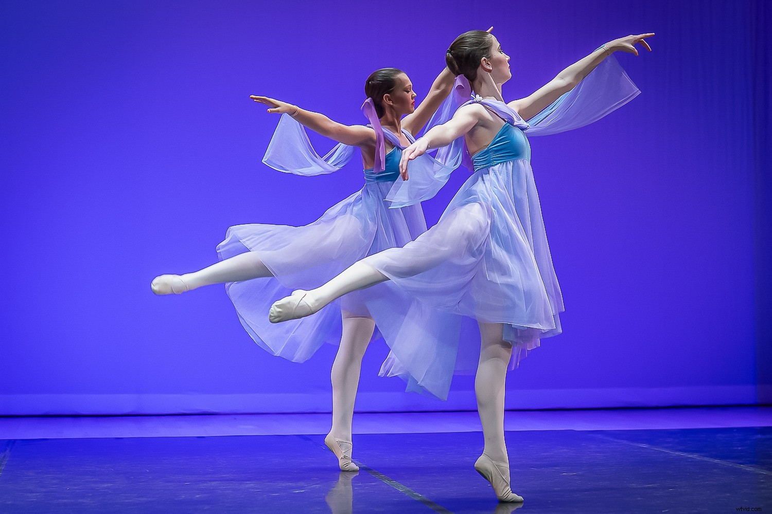 Master Auto ISO & Camera Modes: The Ultimate Beginner s Guide