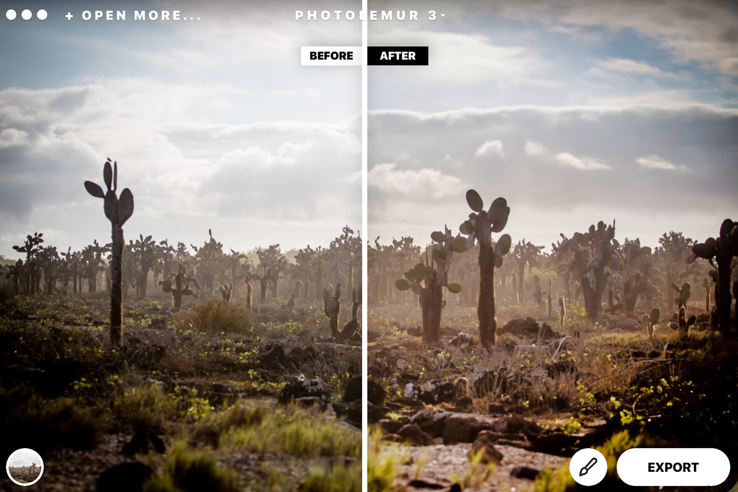 Photolemur 3 Review: AI-Powered Photo Enhancer for Effortless Professional Results