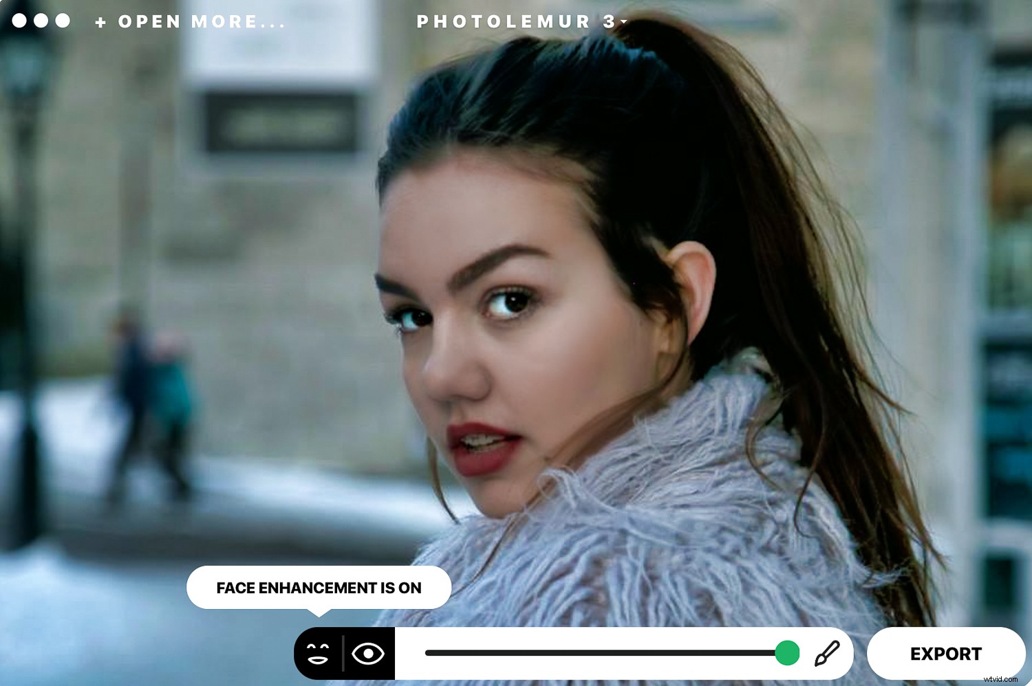 Photolemur 3 Review: AI-Powered Photo Enhancer for Effortless Professional Results