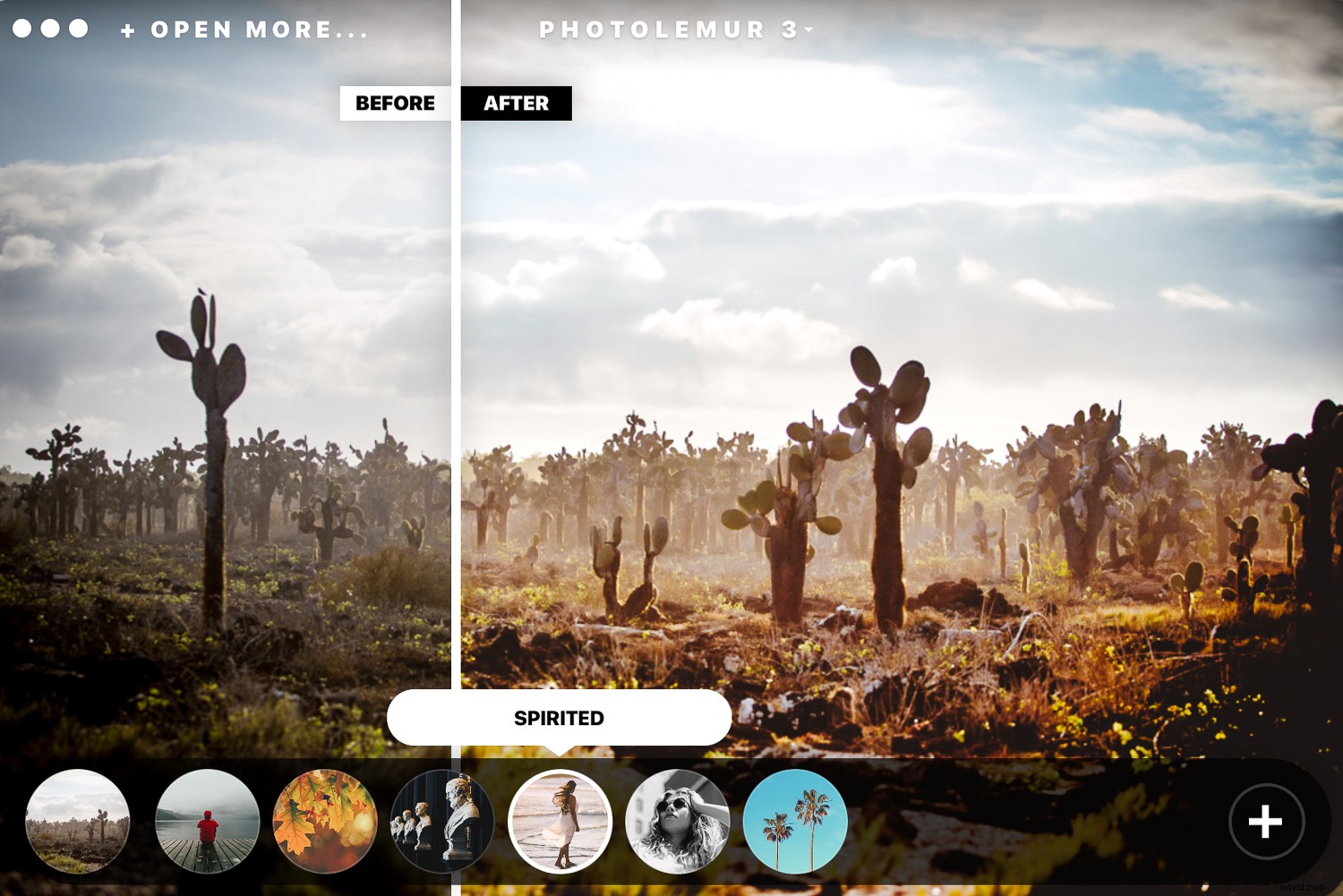 Photolemur 3 Review: AI-Powered Photo Enhancer for Effortless Professional Results