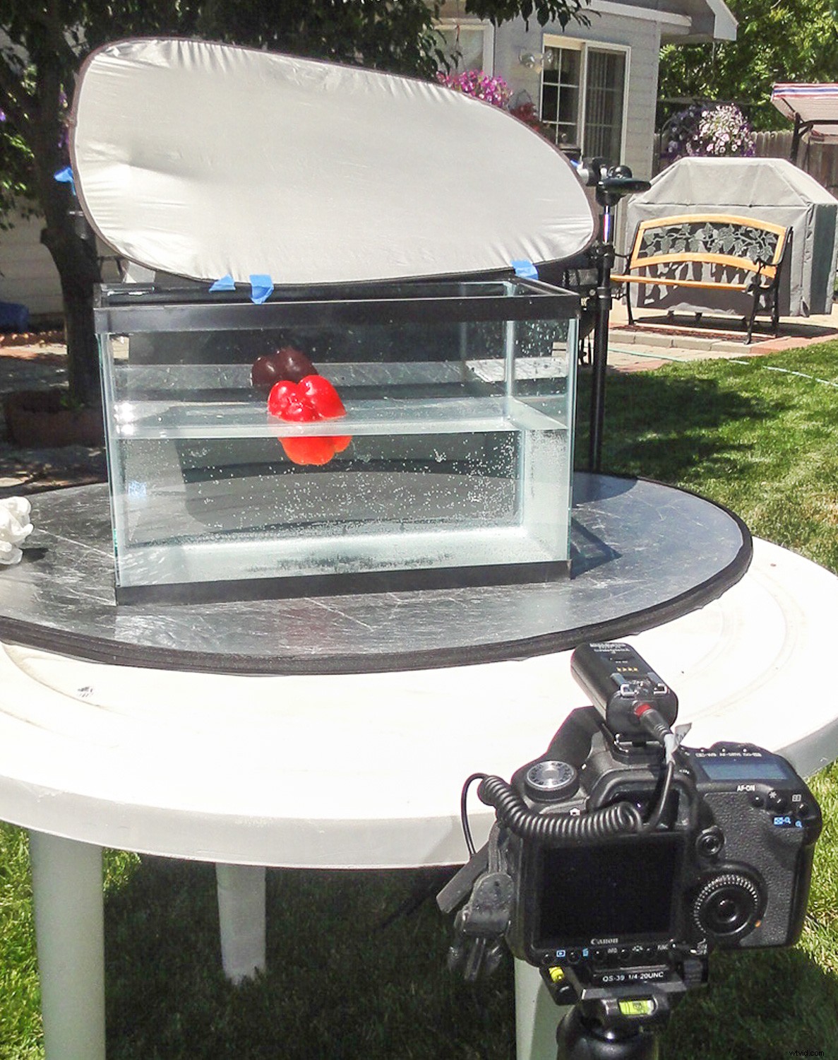 Master Stunning High-Speed Splash Photography: No Flash Required – Expert Guide