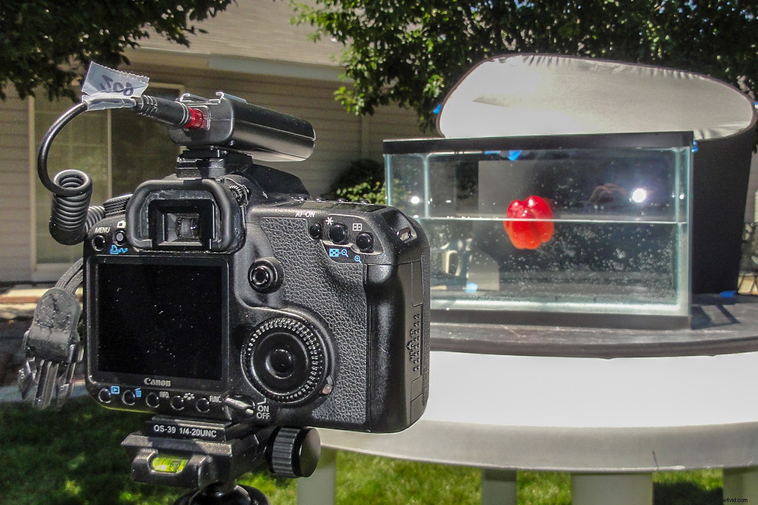 Master Stunning High-Speed Splash Photography: No Flash Required – Expert Guide