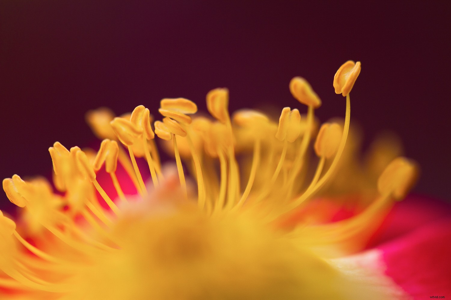 Transform Your Photography in One Year: 8 Powerful Micro Habits