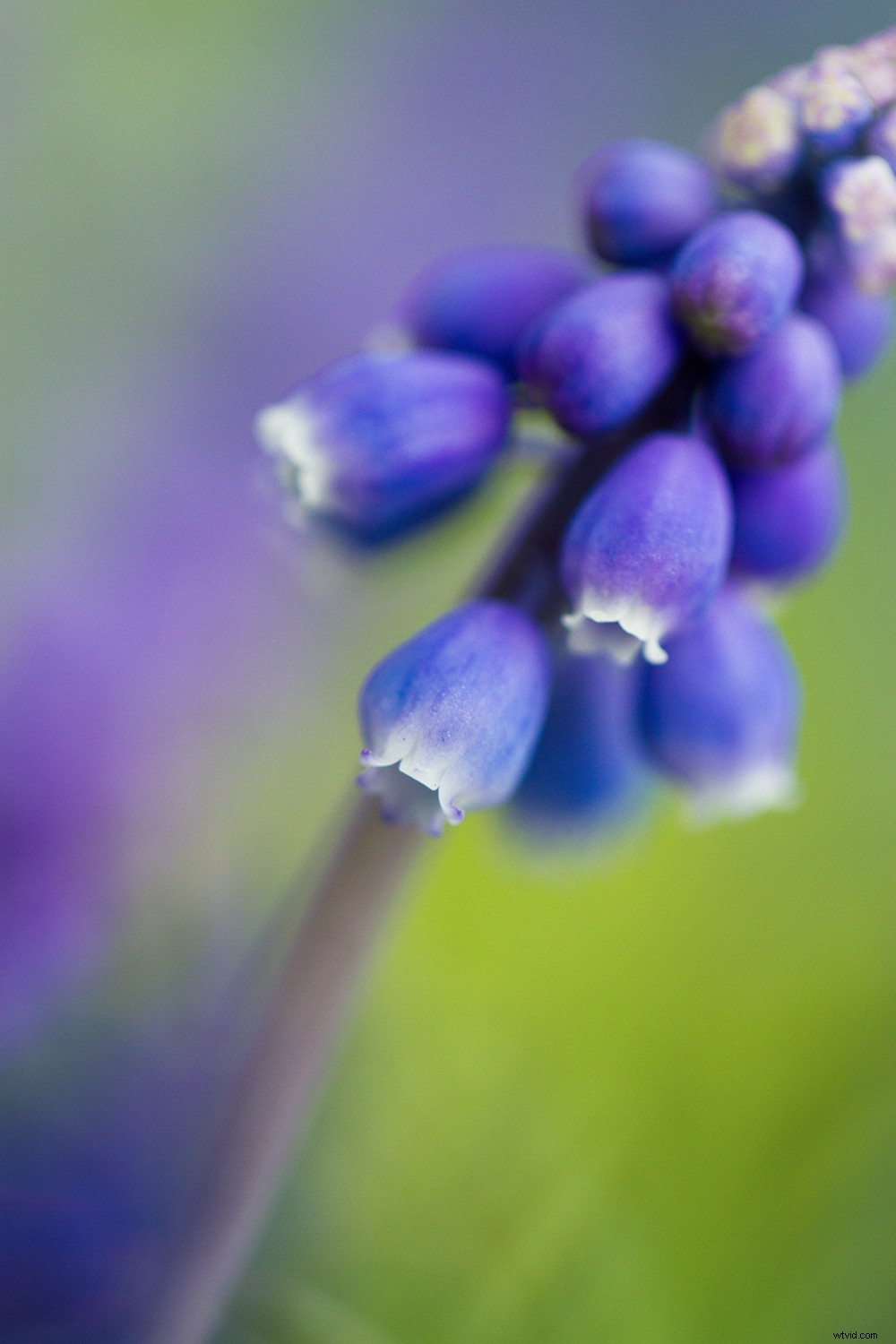 Transform Your Photography in One Year: 8 Powerful Micro Habits