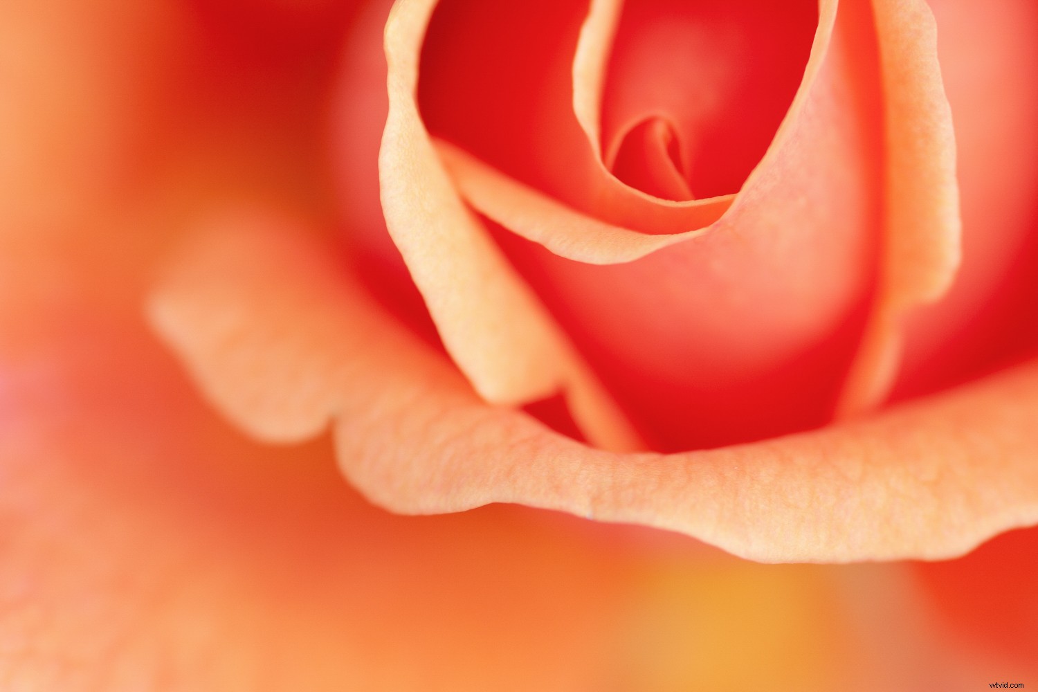 Transform Your Photography in One Year: 8 Powerful Micro Habits