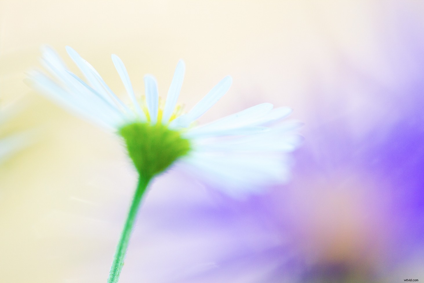 Transform Your Photography in One Year: 8 Powerful Micro Habits