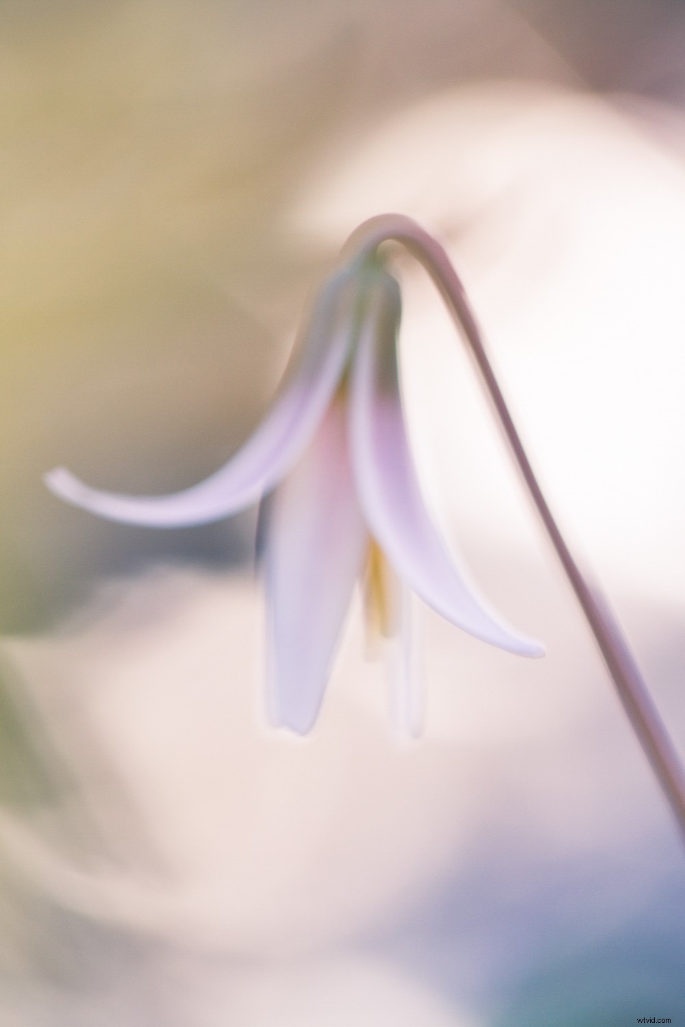 Transform Your Photography in One Year: 8 Powerful Micro Habits