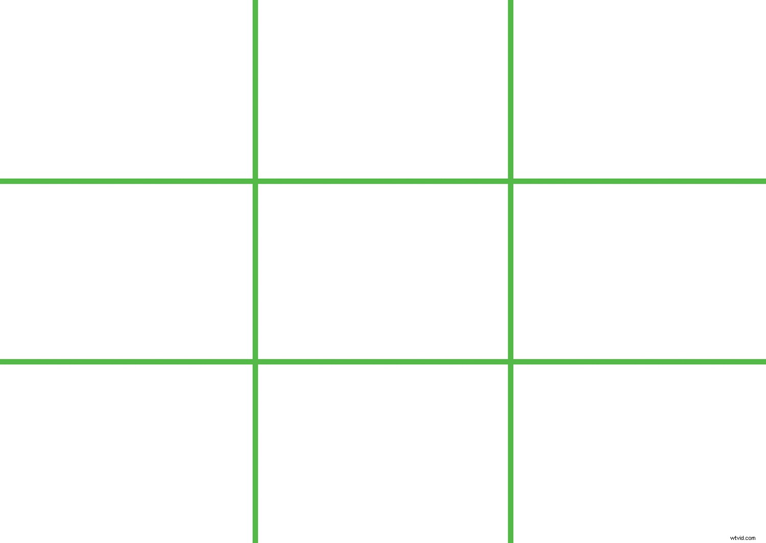 Transform Your Photography in One Year: 8 Powerful Micro Habits