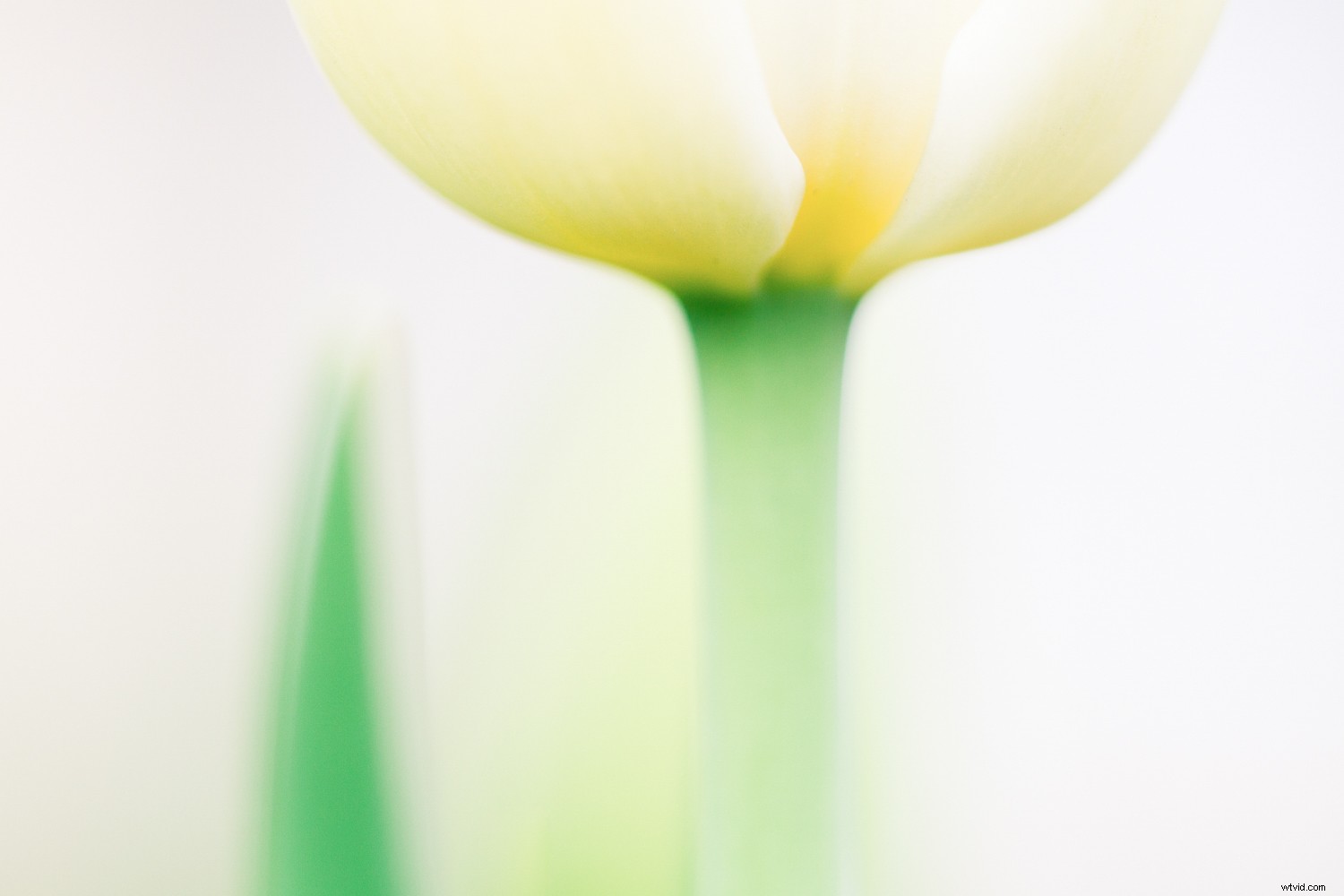 Transform Your Photography in One Year: 8 Powerful Micro Habits