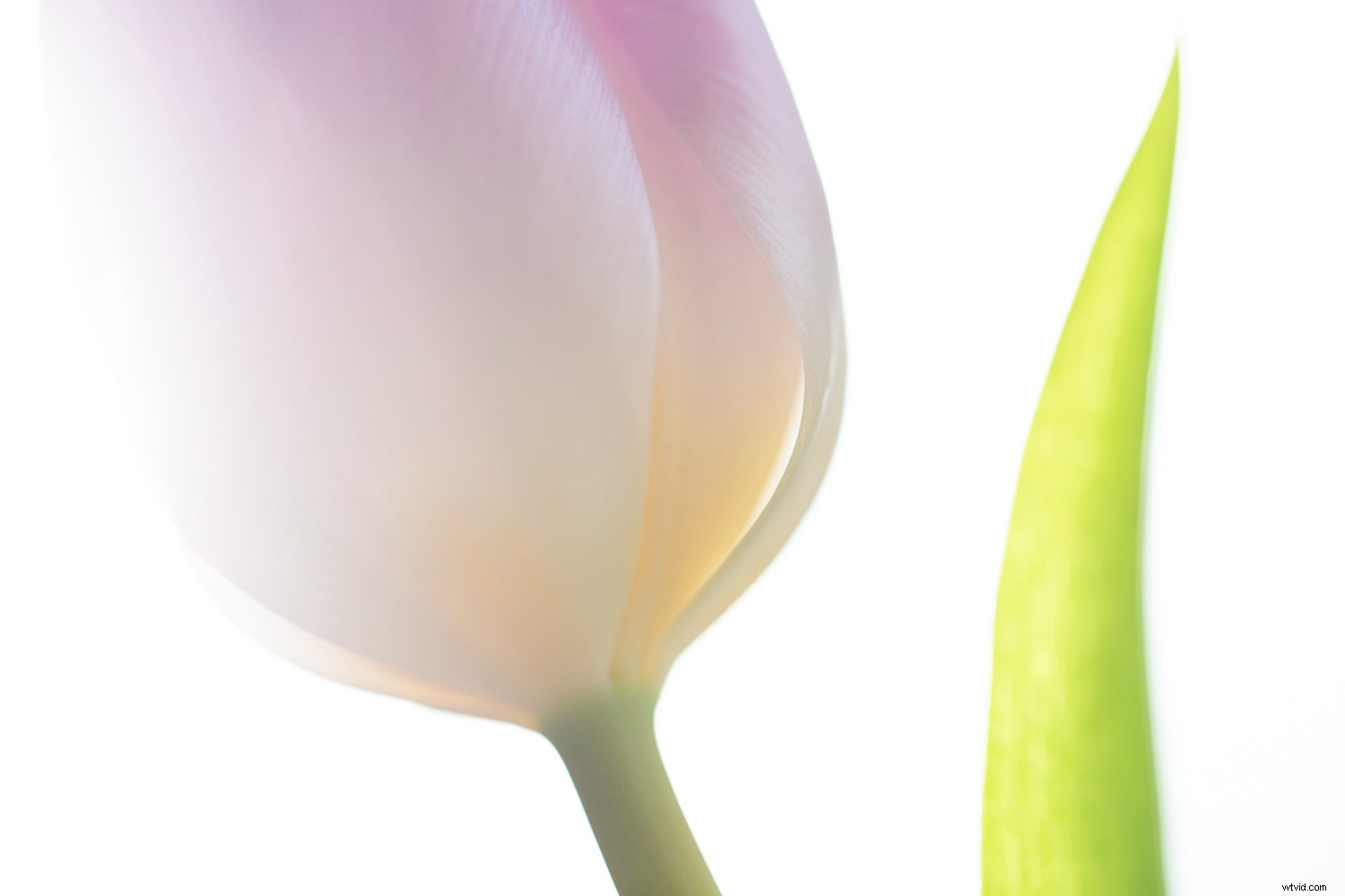 Transform Your Photography in One Year: 8 Powerful Micro Habits