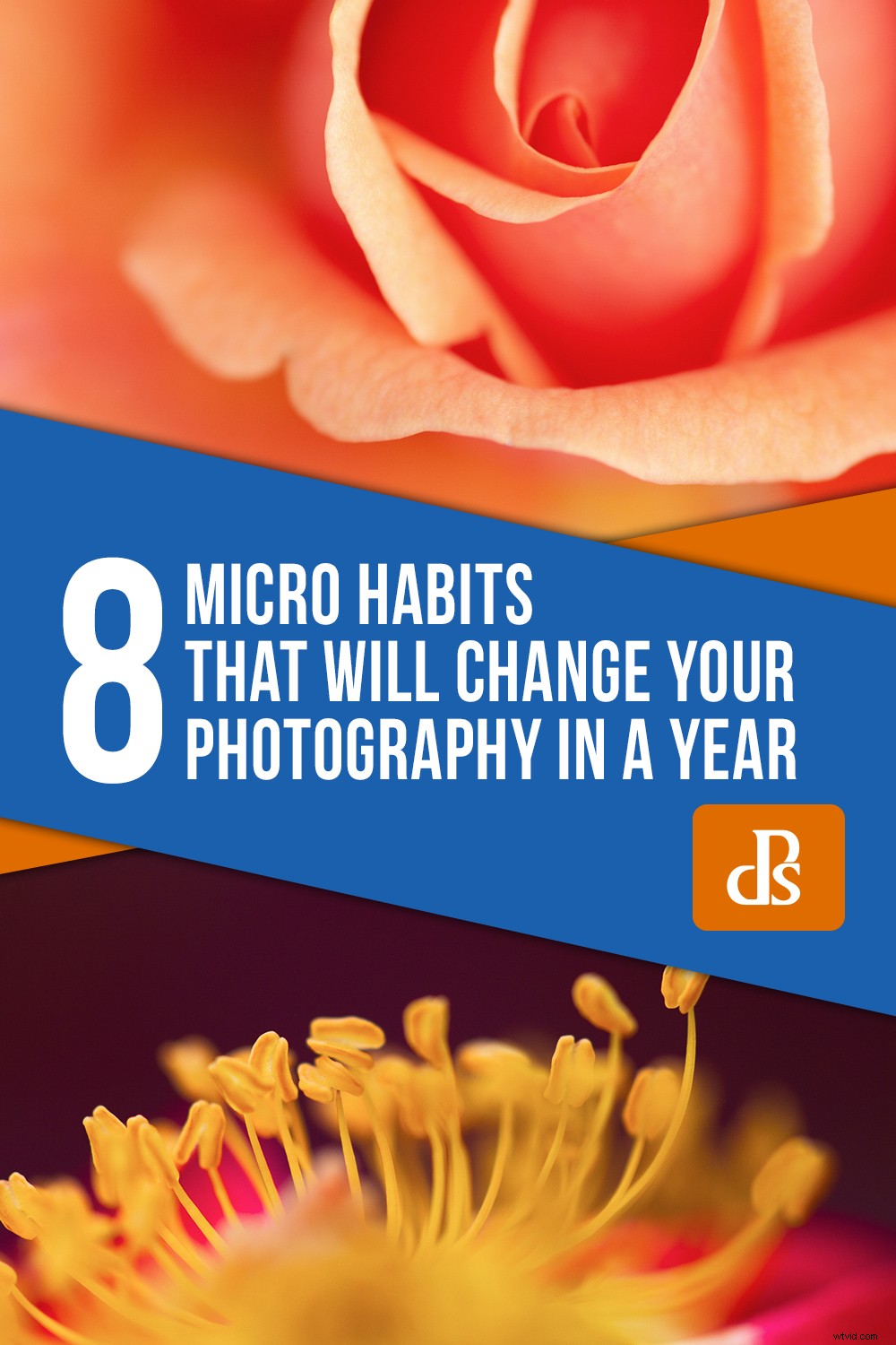 Transform Your Photography in One Year: 8 Powerful Micro Habits
