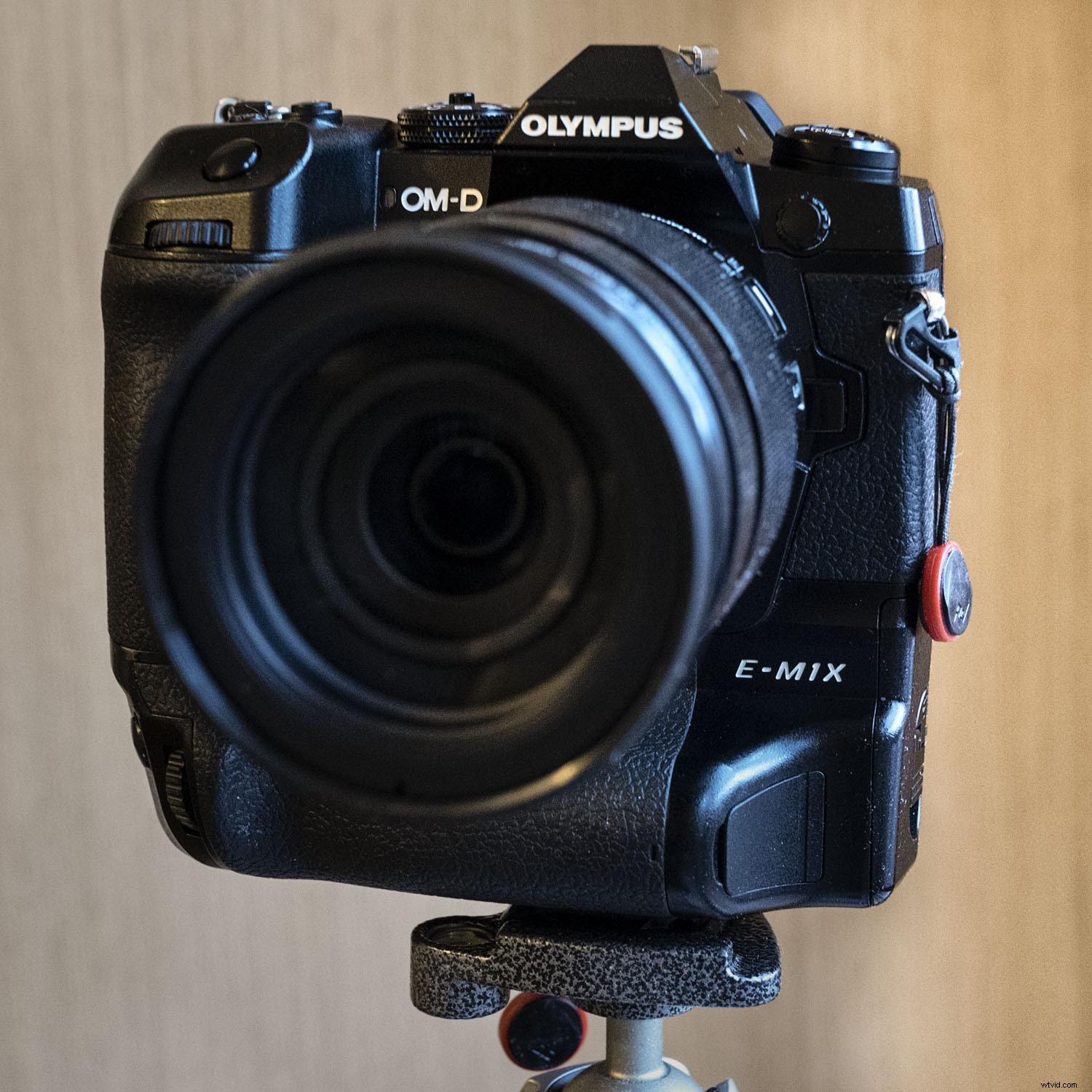 Olympus OM-D E-M1X: In-Depth Real-World Review and Performance Insights