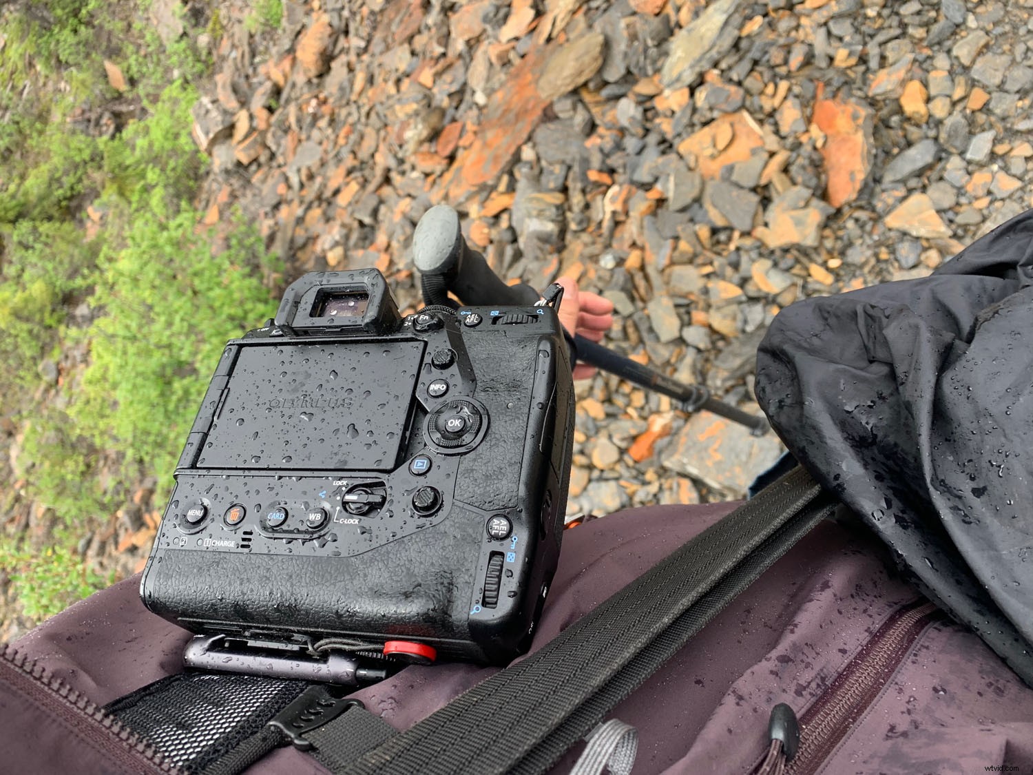 Olympus OM-D E-M1X: In-Depth Real-World Review and Performance Insights