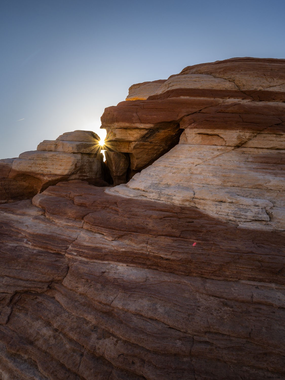 Olympus OM-D E-M1X: In-Depth Real-World Review and Performance Insights