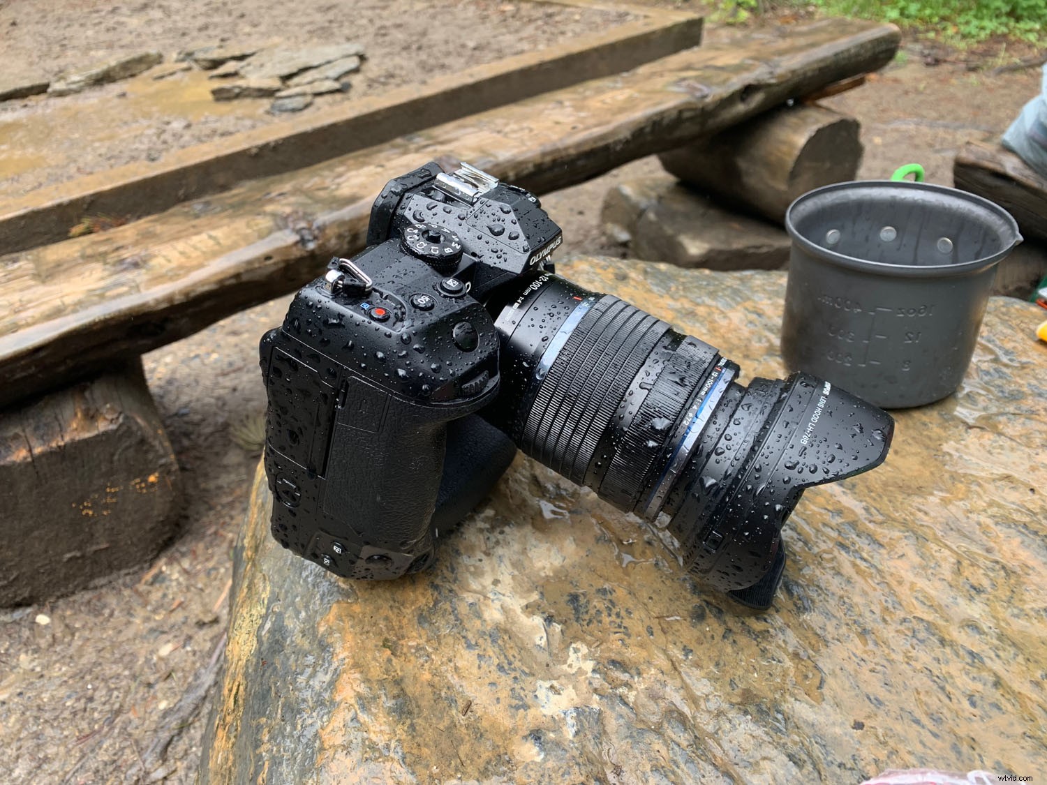 Olympus OM-D E-M1X: In-Depth Real-World Review and Performance Insights