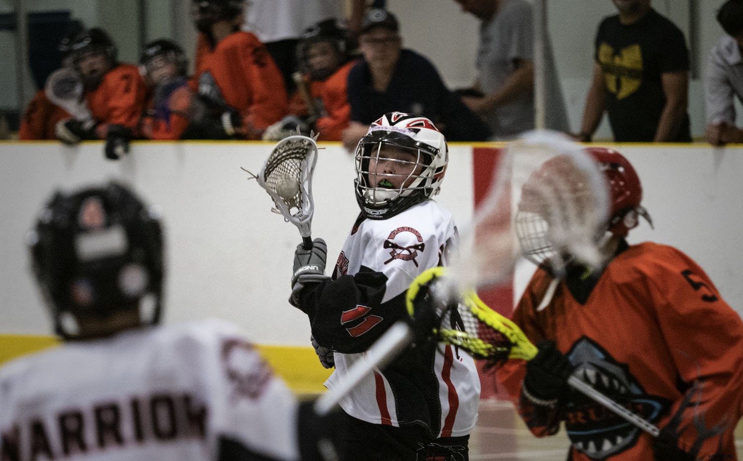 Olympus OM-D E-M1X: In-Depth Real-World Review and Performance Insights