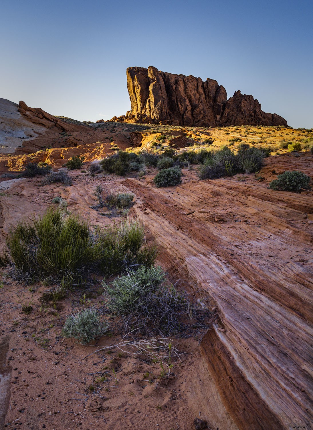 Olympus OM-D E-M1X: In-Depth Real-World Review and Performance Insights