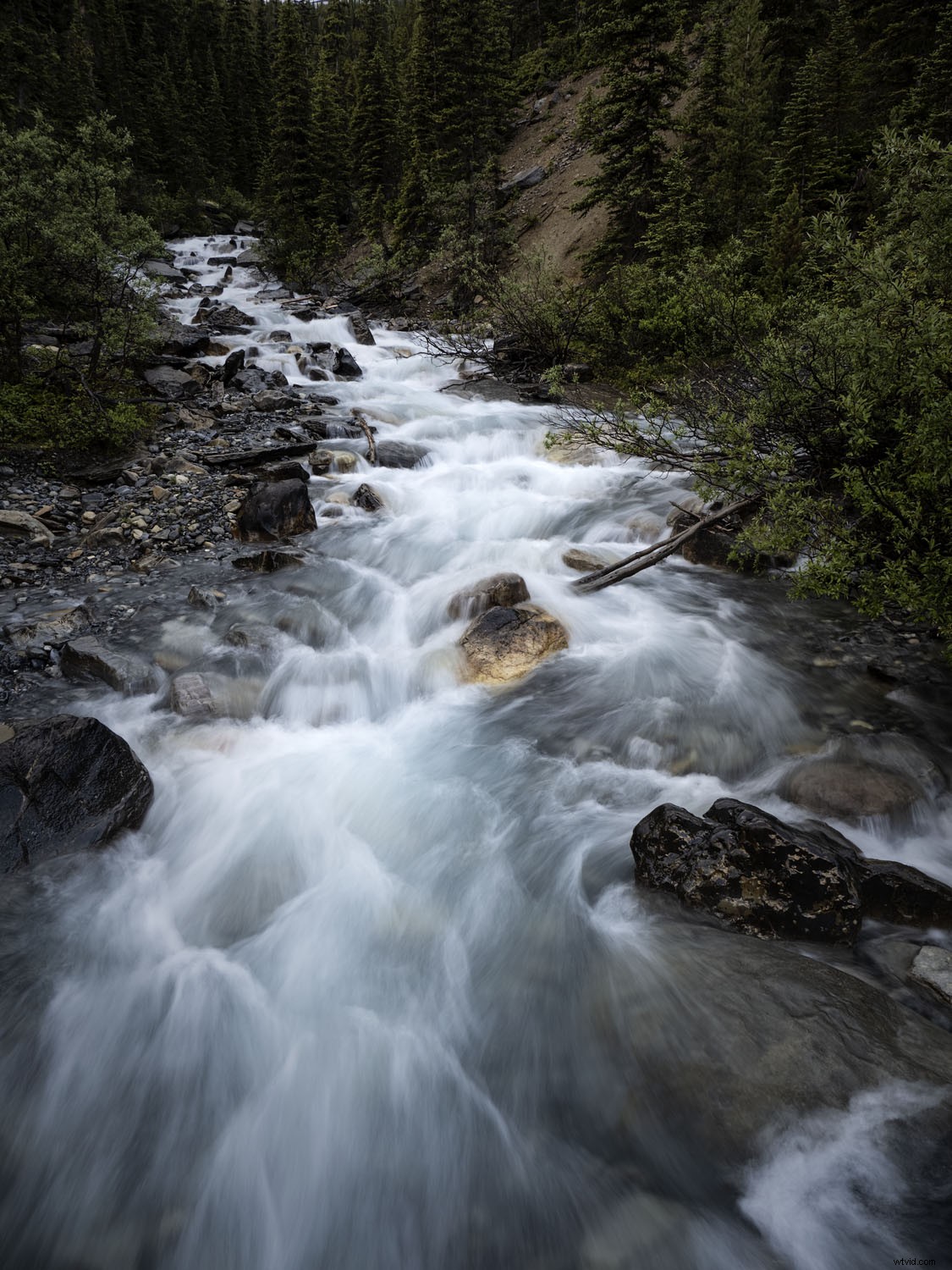 Olympus OM-D E-M1X: In-Depth Real-World Review and Performance Insights