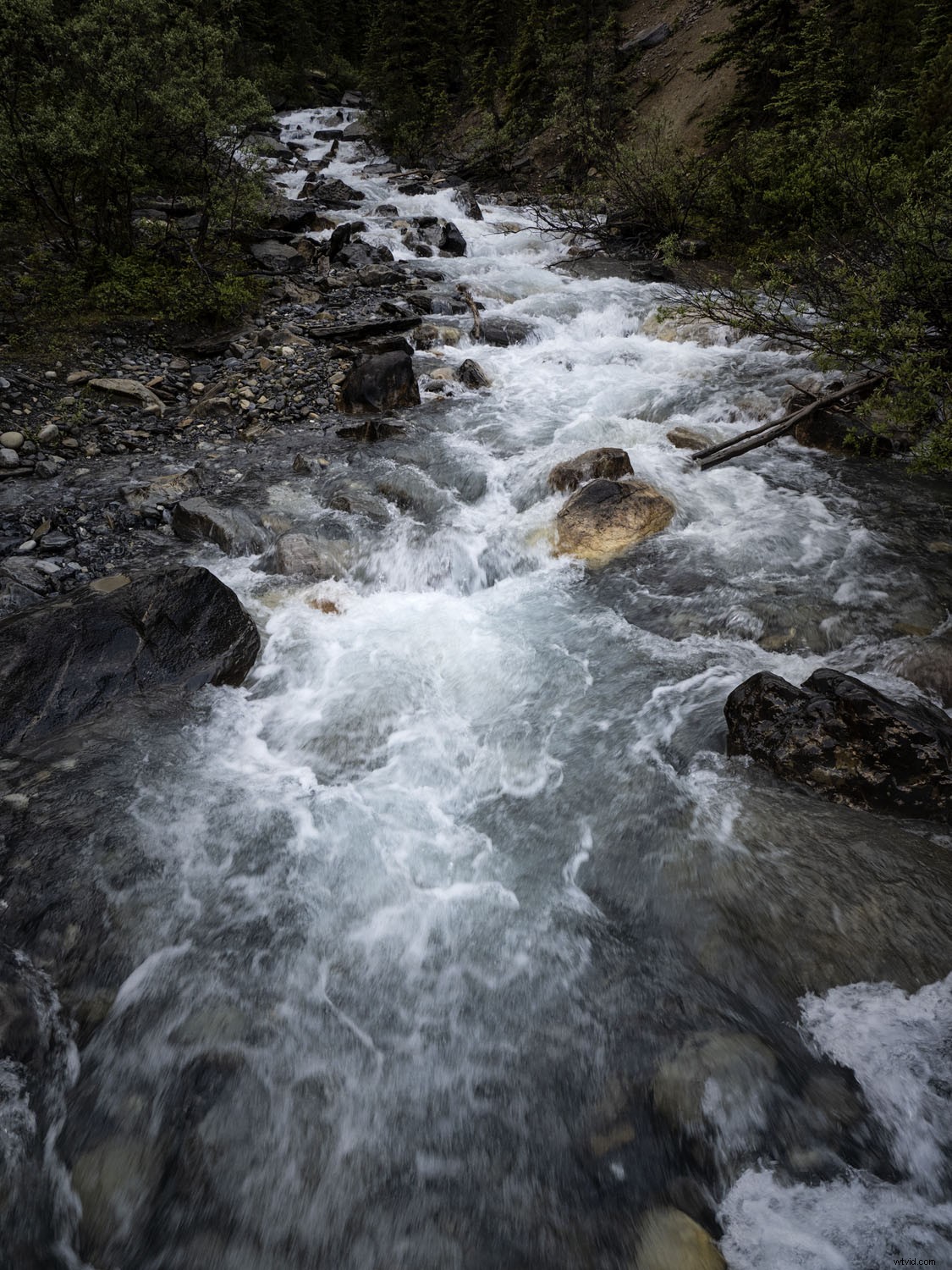 Olympus OM-D E-M1X: In-Depth Real-World Review and Performance Insights