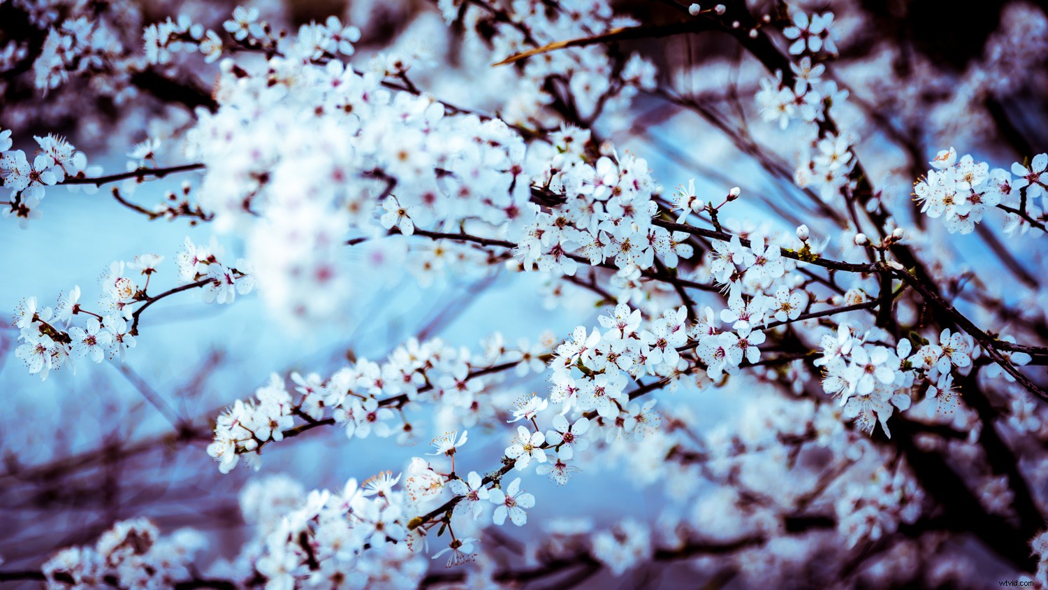 Why You Shouldn t Delete Your Photos Too Quickly: Expert Reasons to Pause