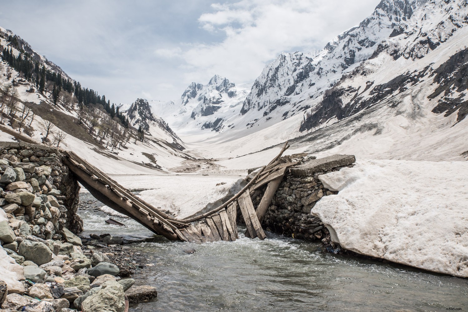 Why You Shouldn t Delete Your Photos Too Quickly: Expert Reasons to Pause