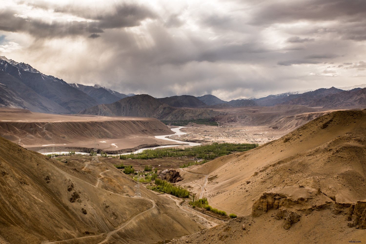 Why You Shouldn t Delete Your Photos Too Quickly: Expert Reasons to Pause