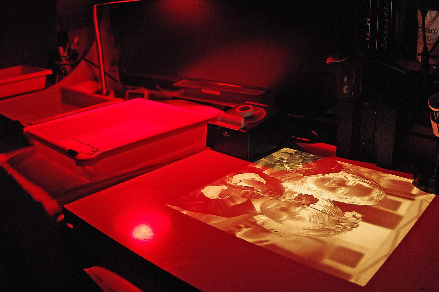 Elevate Your Photography Skills with This Simple Back-to-Basics Exercise