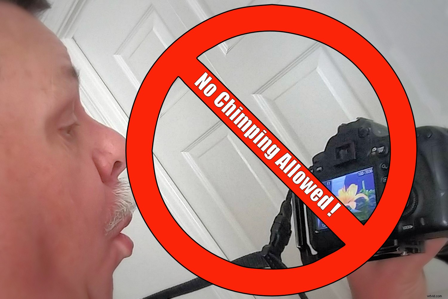 Elevate Your Photography Skills with This Simple Back-to-Basics Exercise