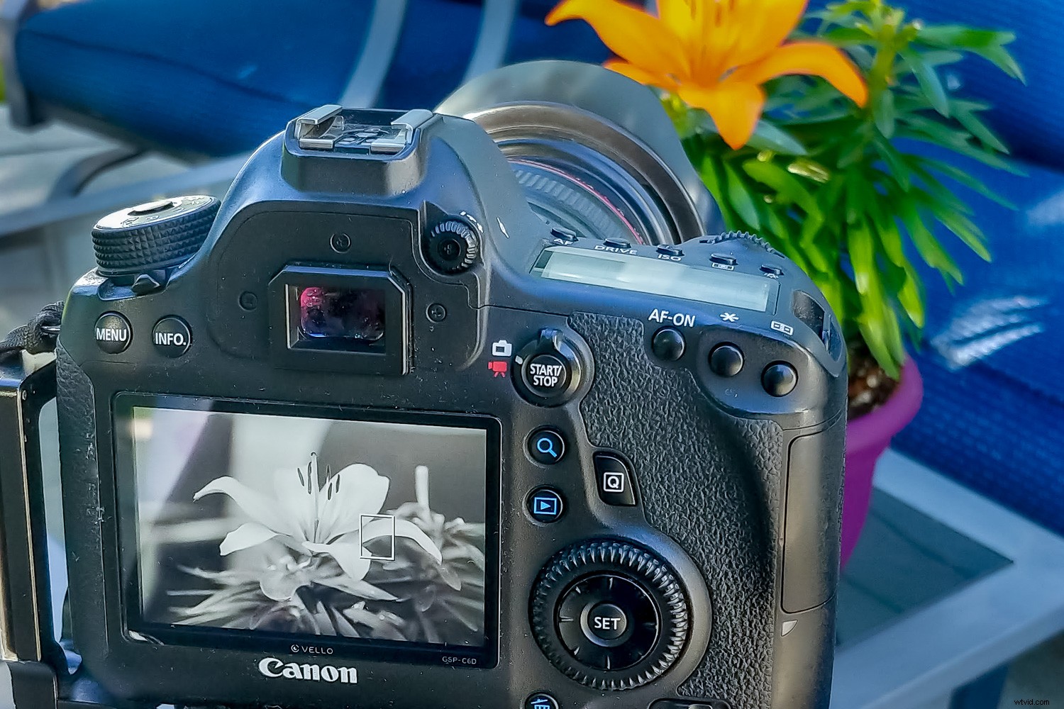 Elevate Your Photography Skills with This Simple Back-to-Basics Exercise