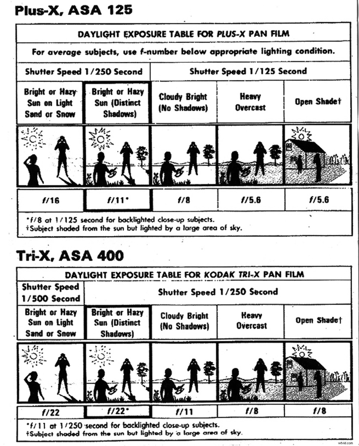 Elevate Your Photography Skills with This Simple Back-to-Basics Exercise