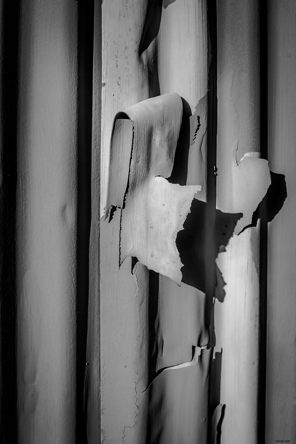 Elevate Your Photography Skills with This Simple Back-to-Basics Exercise