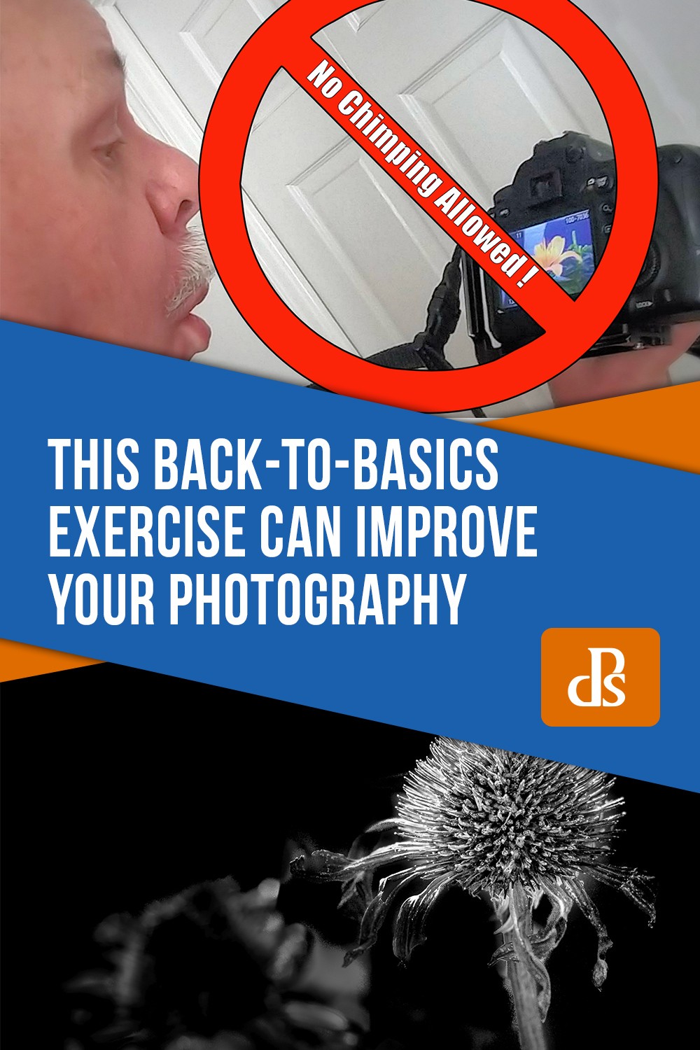 Elevate Your Photography Skills with This Simple Back-to-Basics Exercise