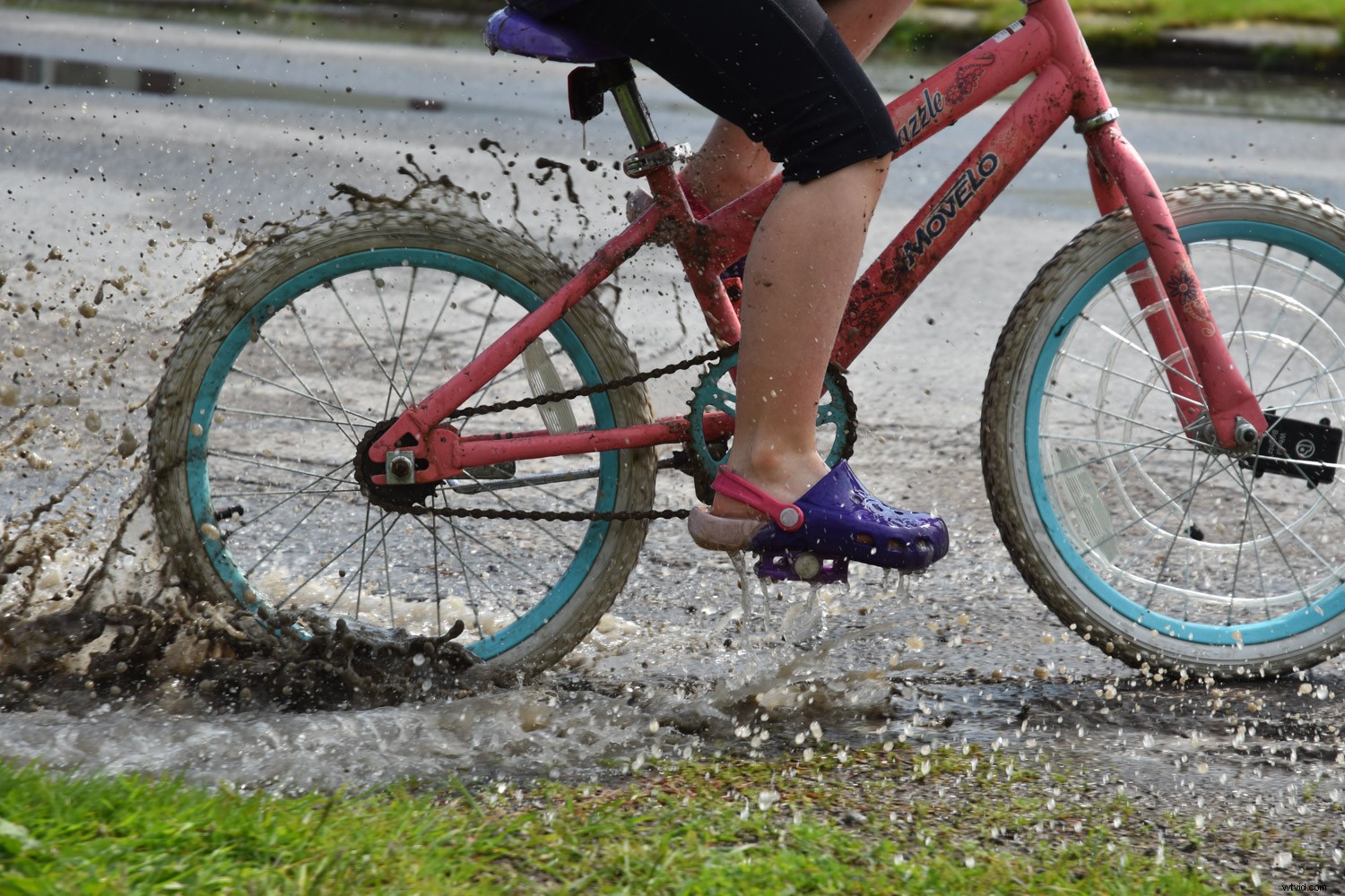 5 Stunning Photos to Capture Effortlessly in Auto Mode