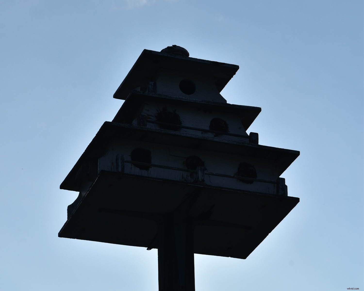 5 Stunning Photos to Capture Effortlessly in Auto Mode