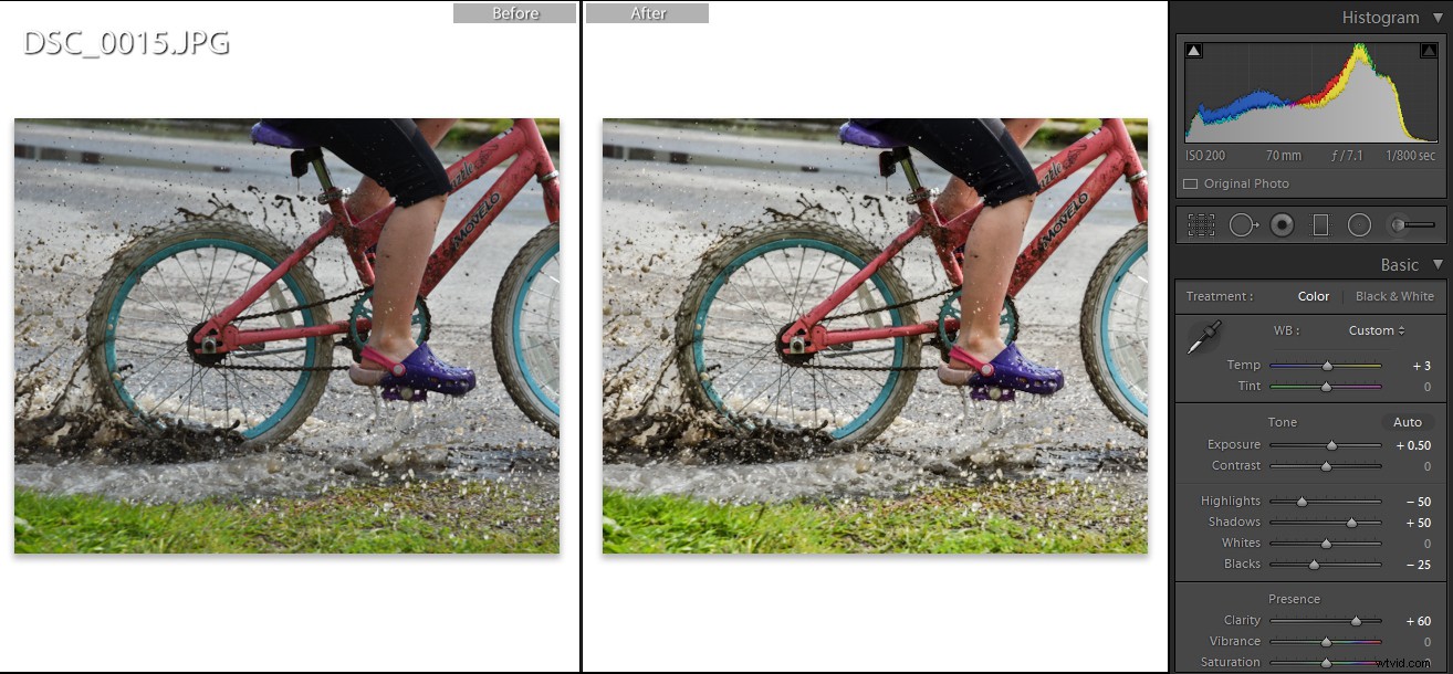 5 Stunning Photos to Capture Effortlessly in Auto Mode