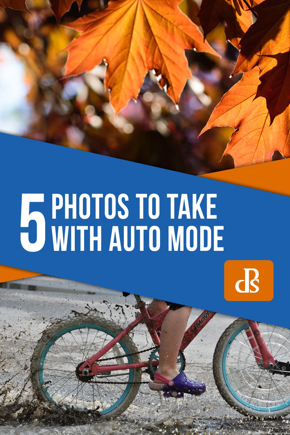 5 Stunning Photos to Capture Effortlessly in Auto Mode