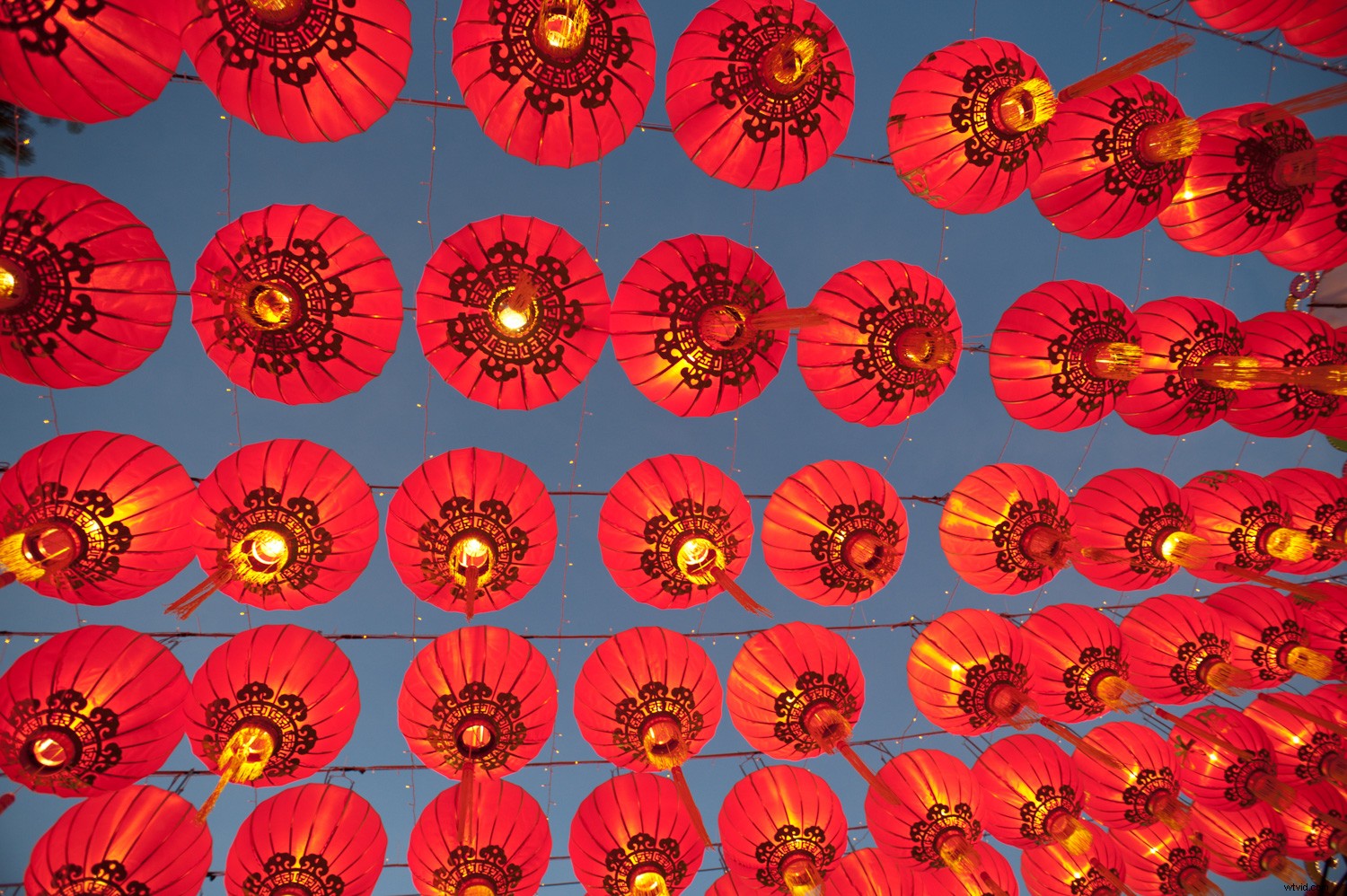 21 Expert Tips to Succeed in Stock Photography