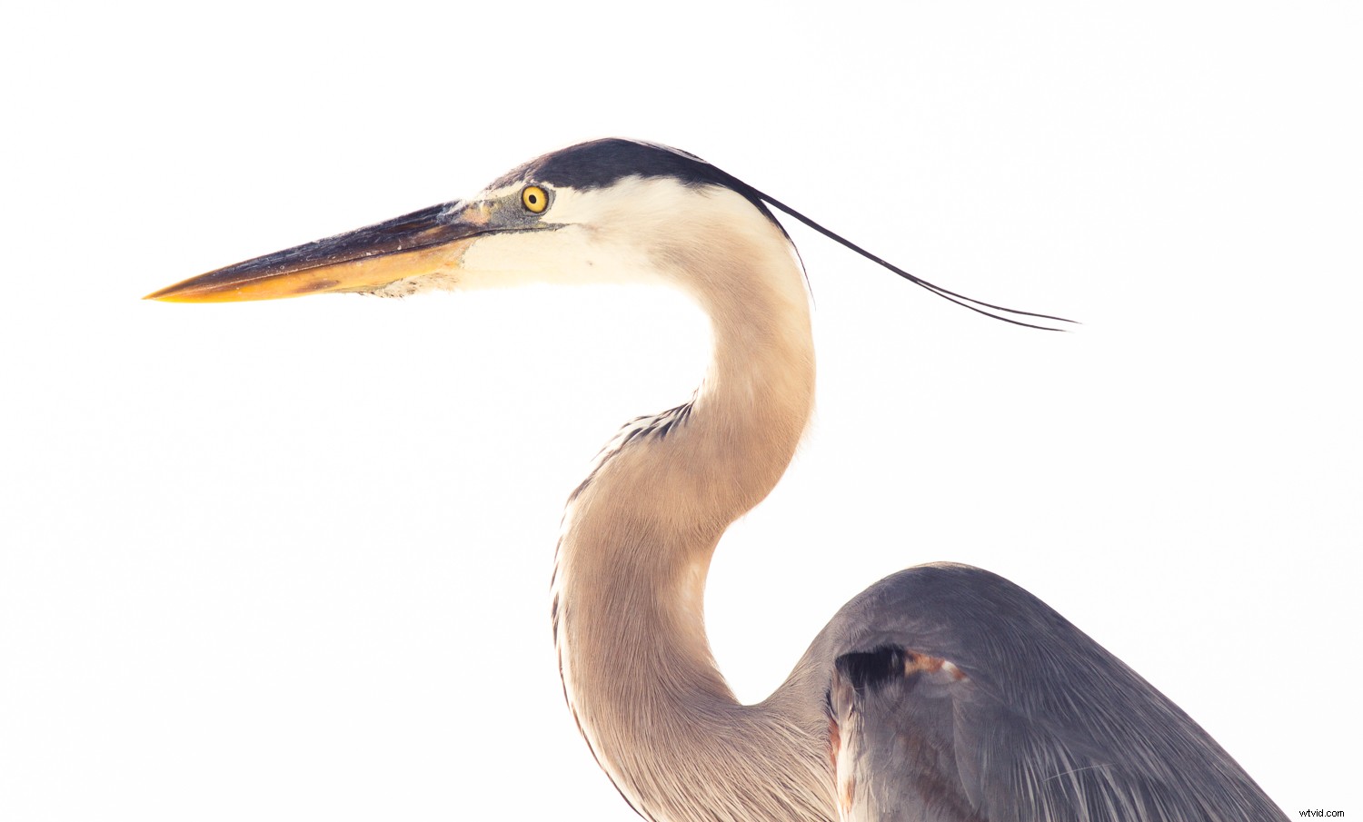 7 Proven Techniques for Capturing Stunning and Original Nature Photos